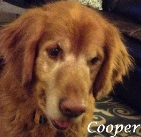 Cooper .2004-2015